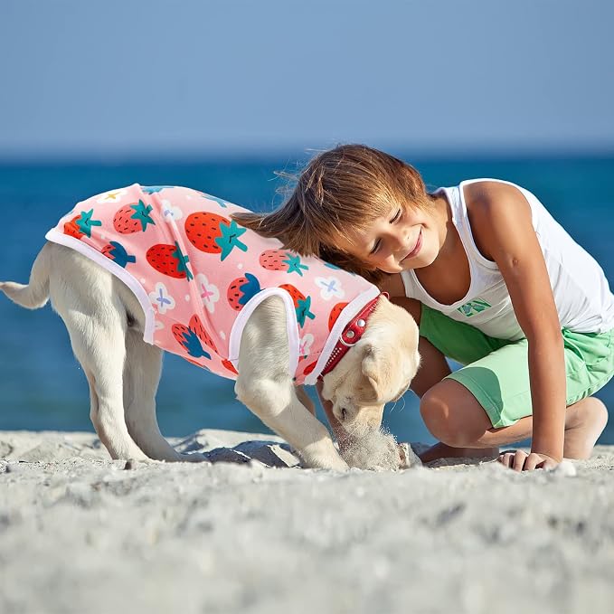 10 Pack Dog Shirts Cute Summer Cartoon Puppy Clothes, Soft Breathable Pet T-Shirts, Printed Sleeveless Washable for Small Medium Dogs Cats(Large)