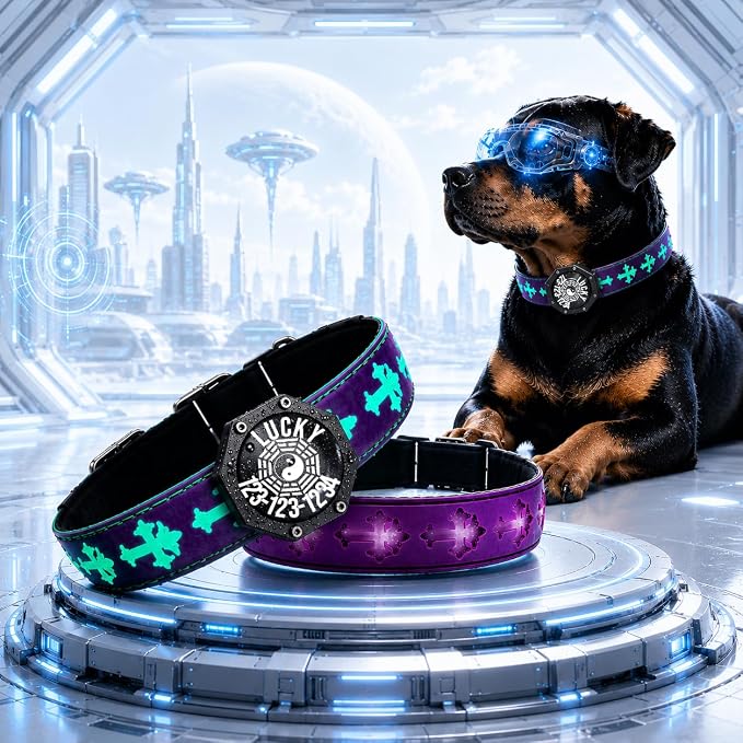 Light Up Glow Dog Collar with Chinese Style AirTag Holder