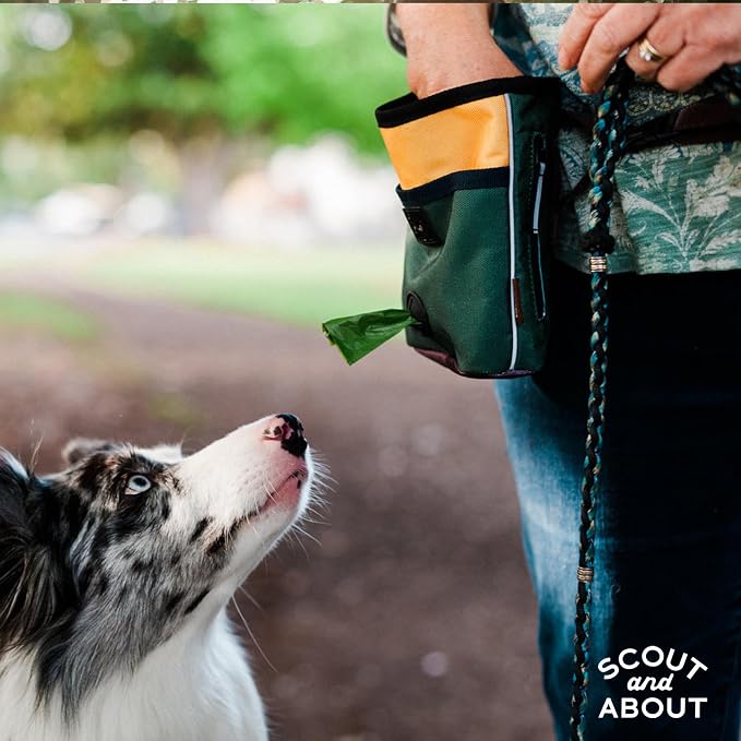 P.L.A.Y. Scout & About Deluxe Training Treat Pouch with Poop Bag Dispenser - 3 Way Wear, Detachable & Adjustable Strap, Reflective Strips, Water-Resistant Back Zipper Pocket, Squeaker (Moss)