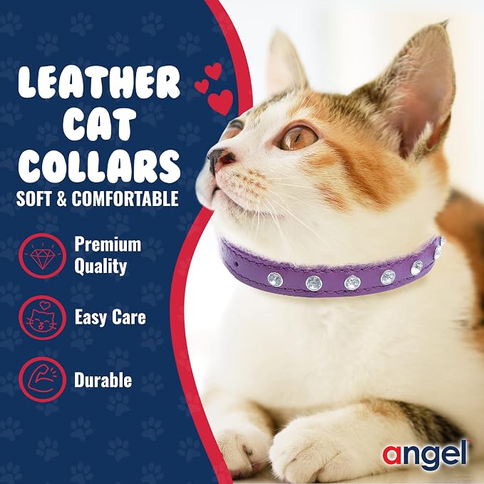 Athens Cat Collar, Leather Kitten Collar w/Rhinestones, Sturdy Breakaway Cat Collar with Bell & Elastic Stretch, Cat Accessories, Orchid Purple, 12 x ½ inches - Angel Pet Supplies