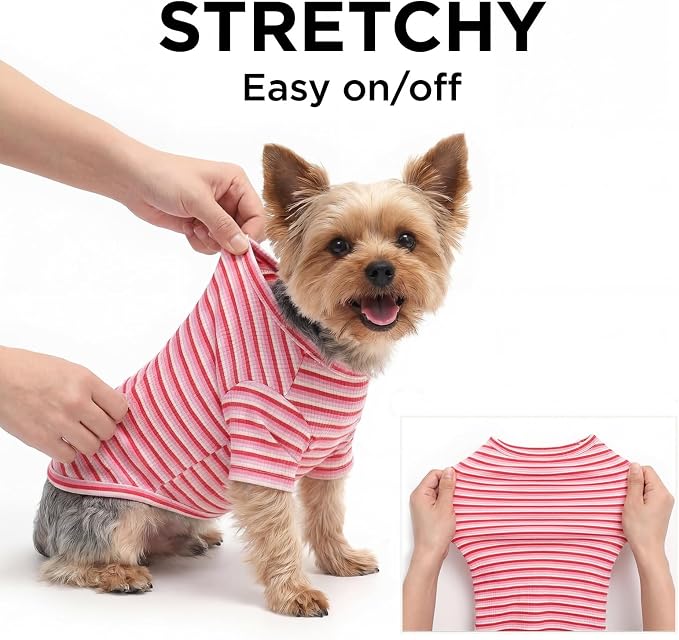 Soft Dog Shirt for Small Medium Dogs, Breathable Pet Clothes for Puppy Girl Boy, Stretchy Cotton Dog Tshirts, Fits Beagles, Dachshund, Bichon, Green Stripe-L