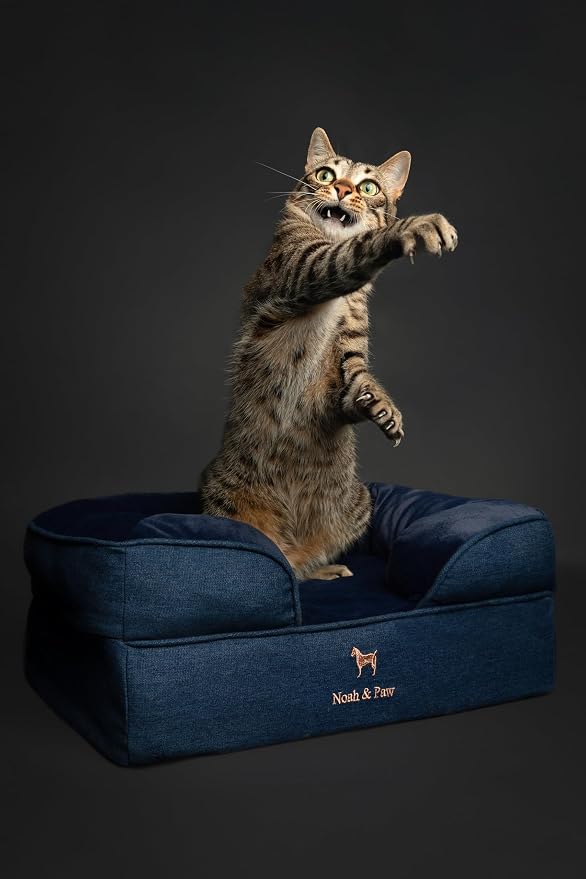 NOAH & PAW Small Dog Bed, 20x15x8 Inch, Cat Bed for Indoor Cats, Orthopedic Eggshell Memory Foam Infused with Cooling Gel, Water Resistant Inner Cover Machine Washable (Denim Collection)