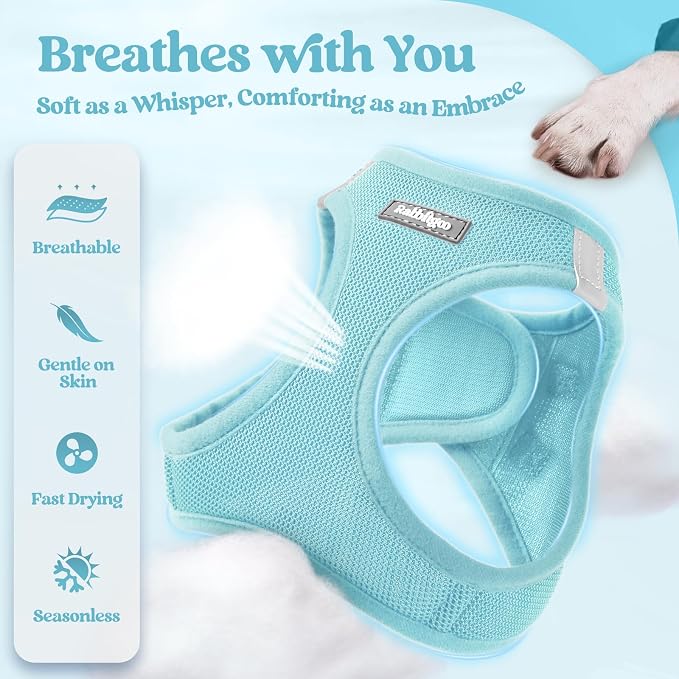 rabbitgoo Dog Harness Medium Sized and Leash Set, Step-in Puppy Pet Vest | Light, Soft, Breathable Air Mesh, Easy on and Remove with Hook & Loop, Secure Reflective for Walking, Mint Blue XL