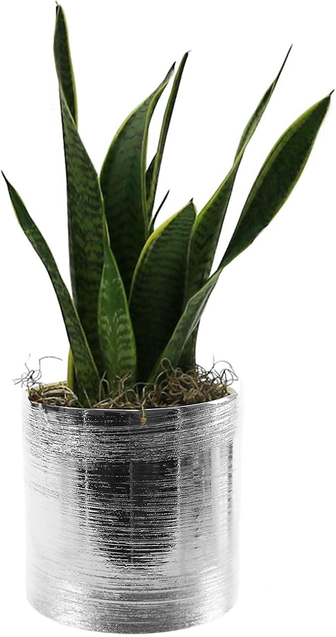 WGVI Silver Etched Ceramic Cylinder Vase Width 6.5" Height 6", Flower Arrangements, Candle Holder, Terrarium Planter Pot, Storage Container Organizer, Pen Brush Holder, Scratched Texture Design, 6 Pc