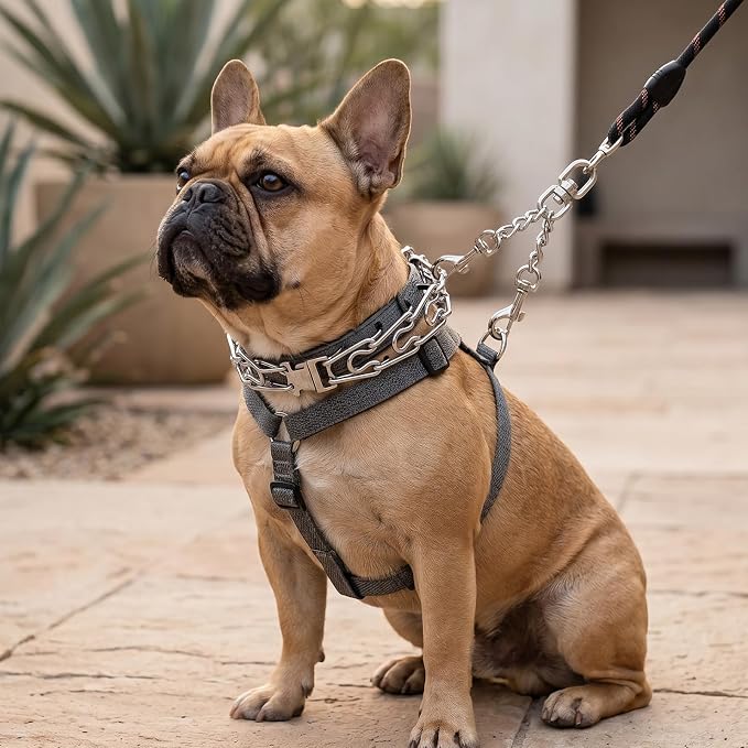 Prong Collar Safety Clip Stainless Steel Leash Backup with Dual Clasps Dog Collars and No Pull Harness Connectors(5.71 Inches Silver)