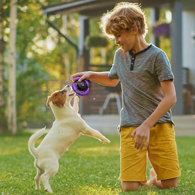 Pamlulu Small Dog Chew Toy, Tough Squeaky Puppy Chew for Small Breeds, Rubber and Nylon Design, Indoor and Outdoor Play, Birthday Gift