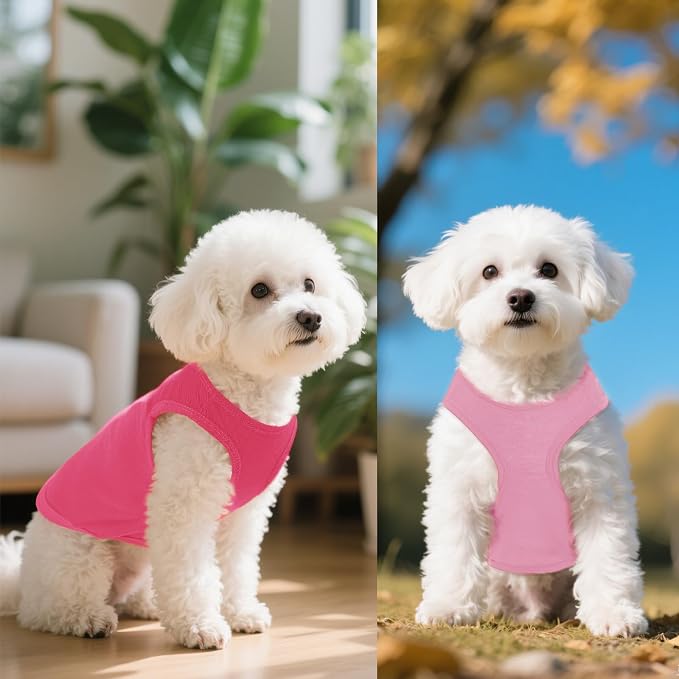 4 Pcs Cat Shirts Solid Color Dog Clothes Summer Sleeveless Pet T Shirts for Small Pet Dogs Cat (Black,Pink,Grey,Rose red, Medium)