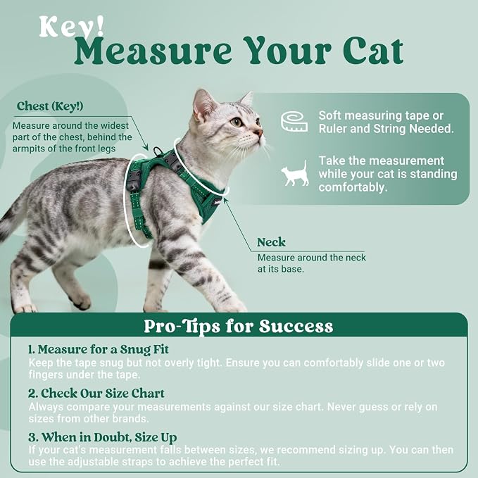 rabbitgoo Cat Harness and Leash, Easy-on with Neck Buckle, Dark Green