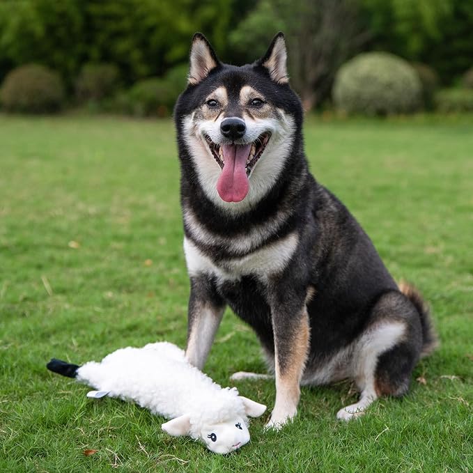 Best Pet Supplies 2-in-1 Stuffless Squeaky Dog Toy - Sheep, Medium | No-Stuffing, 2 built-in squeakers, No Mess, Soft, Holds a Plastic Bottle for Added play, Perfect for Moderate chewers