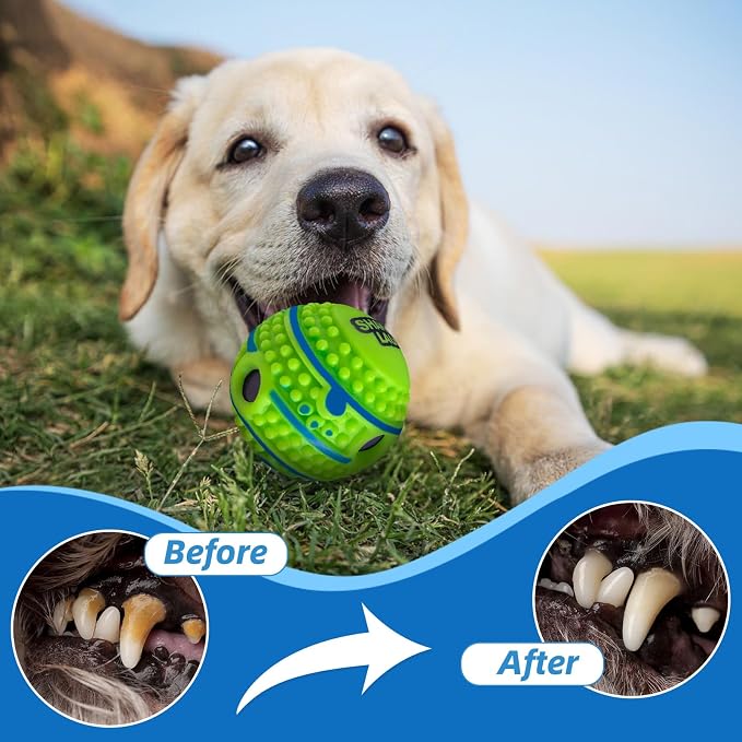 Spiky Interactive Dog Toys Ball, XS, 2.75 in (7 cm) | Shaking with Gibbering Sound, Training, Teeth Cleaning, Herding, Straight