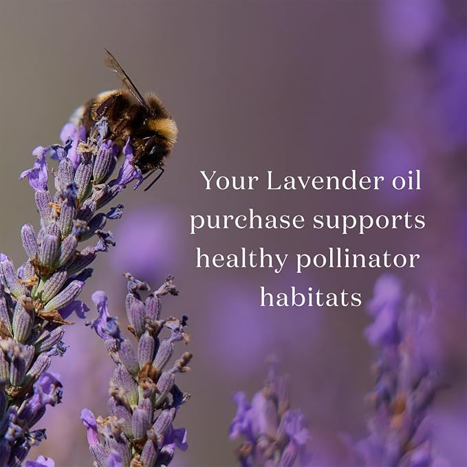 Lavender Essential Oil 5ml by Young Living – Pure Lavender Oil for Aromatherapy, Essential Oil Diffuser, Skin & Relaxation, Essential Oils for Diffuser & Home Use