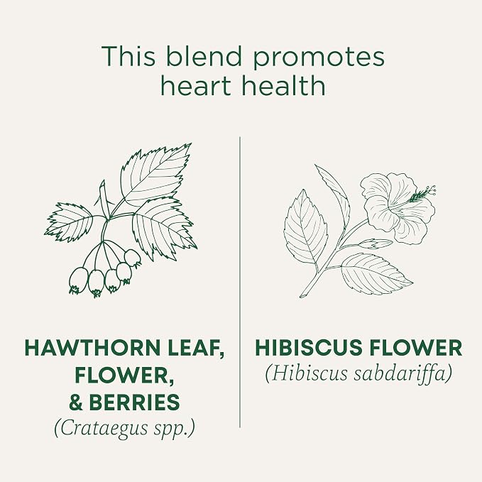 Traditional Medicinals Tea, Organic Hawthorn & Hibiscus - Promotes Heart Health - Kosher, Non-GMO, Caffeine-Free - 16 Tea Bags (Pack of 2)