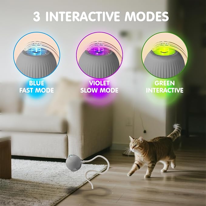 Rocfish Durable Interactive Cat Toys for Indoor Cats (Grey, 01)