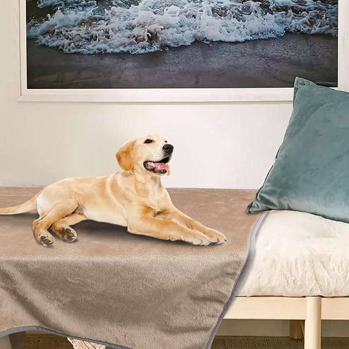 Onarway Dog Blanket Washable for Puppy: 4 Packs Dog Blankets 40”x28” | Fluffy Soft Small Throw for Cat Puppy Kitten Dogs - Fleece Pet Blankets for Bed Sofa Car and Indoor - Khaki