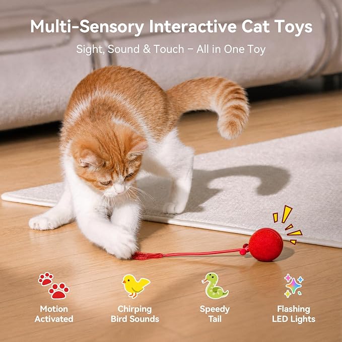 Cheerble Interactive Cat Toy Ball, Smart Automatic Electric Cat Toys for Indoor Cats with 3 Speeds, Chirping Moving Motion Activated Teaser Rolling Ball Toy for Cats/Small Dog to Keep Them Busy