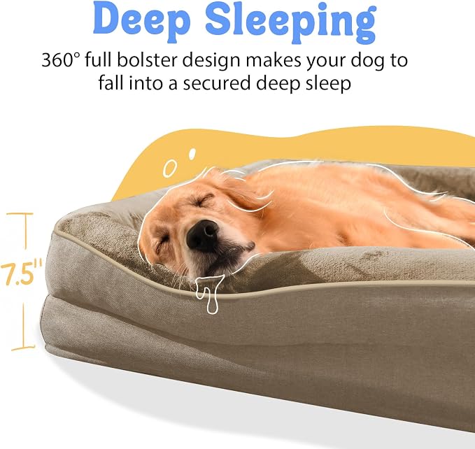 Orthopedic Washable XXL Dog Bed for Extra Large Dogs | Egg Crate Foam, 4-Sided Bolster Support, Waterproof Liner, Non-Slip Bottom, Removable Bolster Cover, 45 x 35 Inch