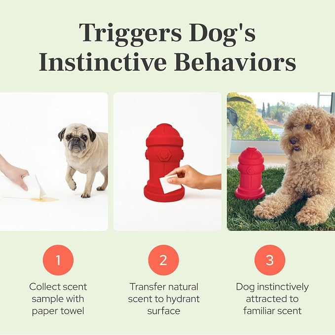 Small Dog Fire Hydrant 4x7 Silicone Soft Potty Training Aid for Small Breeds Under 10lbs Toy Breeds Indoor Outdoor Training Grey