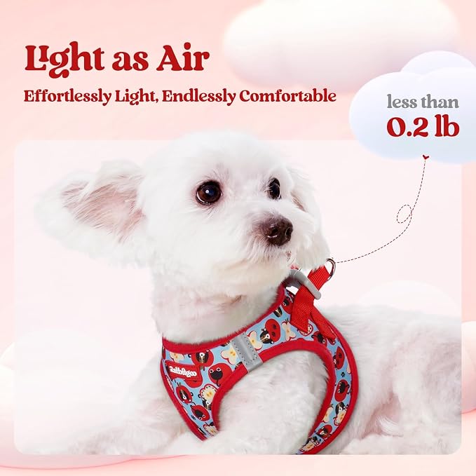 rabbitgoo Dog Harness Small Sized and Leash Set, Step-in Puppy Pet Vest | Light, Soft, Breathable Air Mesh, Easy on and Remove with Hook & Loop, Secure Reflective for Walking, Apple Pups M