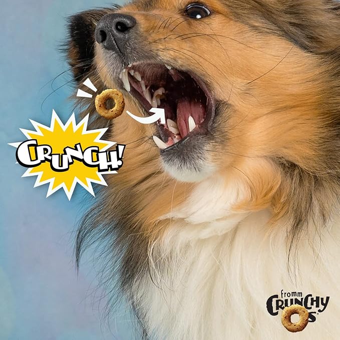 Fromm Crunchy Os Blueberry Blasts Dog Treats - (3) 6 oz Bags