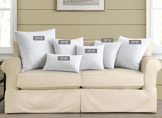 puredown® Feather Throw Pillow Inserts 22 x 22 (Pack of 2, White), Big Throw Pillows for Floor, Couch, Bed, Machine Washable
