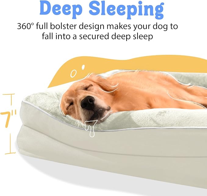 Orthopedic Waterproof Dog Bed for Medium and Large Dogs | Egg Crate Foam, 4-Sided Bolster Support, Waterproof Liner, Non-Slip Bottom, Removable Bolster Cover, 36 x 27 Inch