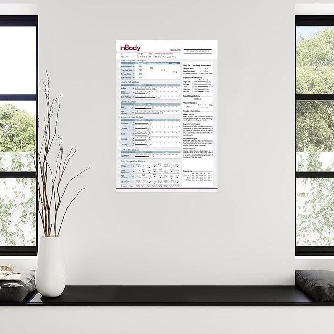 InBody1 Poster Body Composition Analysis Guide, Muscle Mass, Body Fat, BMI, Visceral Fat Level, Basal Metabolic Rate Canvas for Living Room Bedroom Decor 16x24inch(40x60cm) Unframe-style