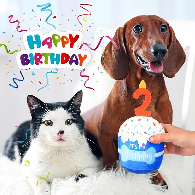Dansydaisy Dog Birthday Cake Toy Squeaky Plush Gift,2nd,Blue