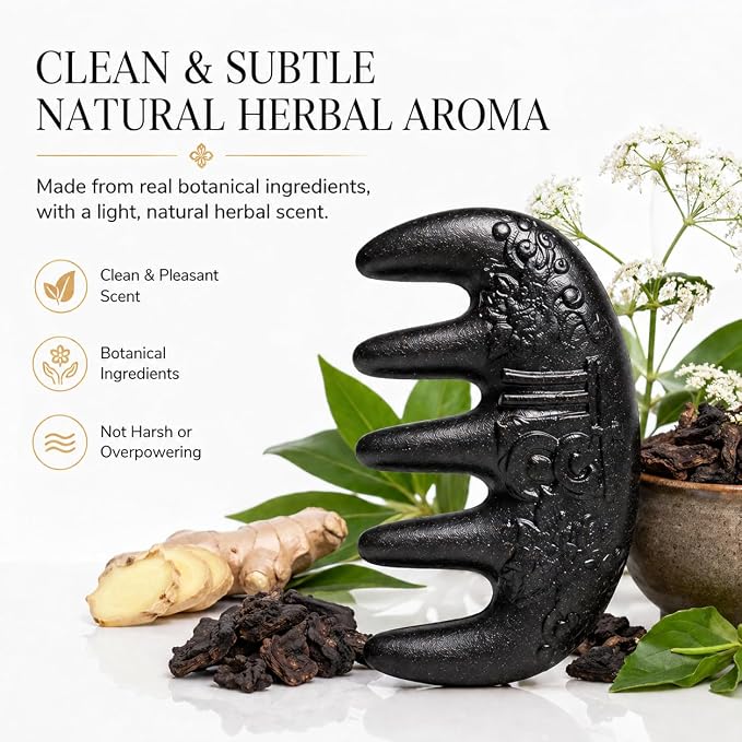 Herbal Powder Comb – Botanical Infused Scalp Massager Comb, Natural Head Massage Tool for Hair & Scalp Care, Wooden Comb Alternative, Acupressure-Inspired Design (Black)