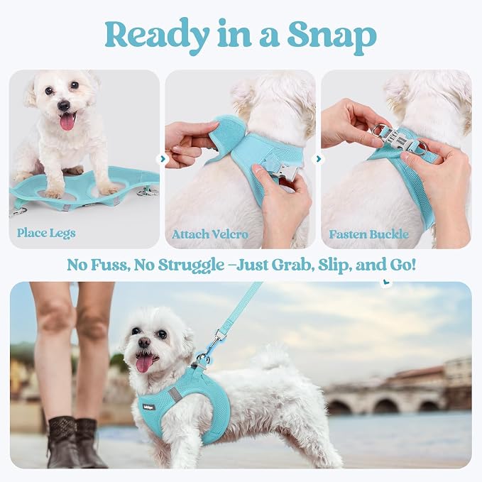rabbitgoo Dog Harness Small Sized and Leash Set, Step-in Puppy Pet Vest | Light, Soft, Breathable Air Mesh, Easy on and Remove with Hook & Loop, Secure Reflective for Walking, Mint Blue S