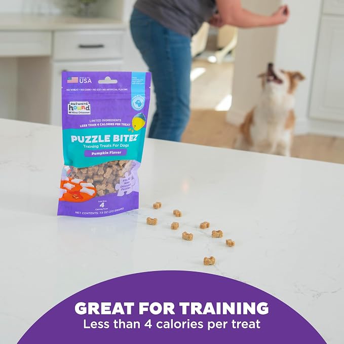 Outward Hound Nina Ottosson Puzzle Bitez Dog Treats, Pumpkin, 7.5 oz | USA Made, Healthy Bite-Sized Treats for Training Reward & Interactive Puzzle Toys, No Artificial Additives, Dogs & Puppies