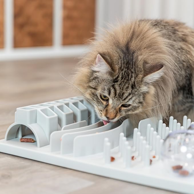 TRIXIE Fun Board Strategy Game for Cats, Puzzle Toy, Treat Dispenser, Interactive Play, Mental Stimulation
