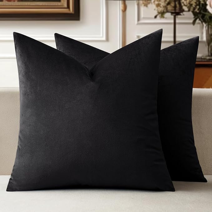 MIULEE Velvet Throw Pillow Covers 16x16 Inch Pack of 2 Black | Soft Solid Small Decorative Pillow Covers, Modern Luxury Home Decor, for Couch Chair Sofa Bedroom Livingroom Car