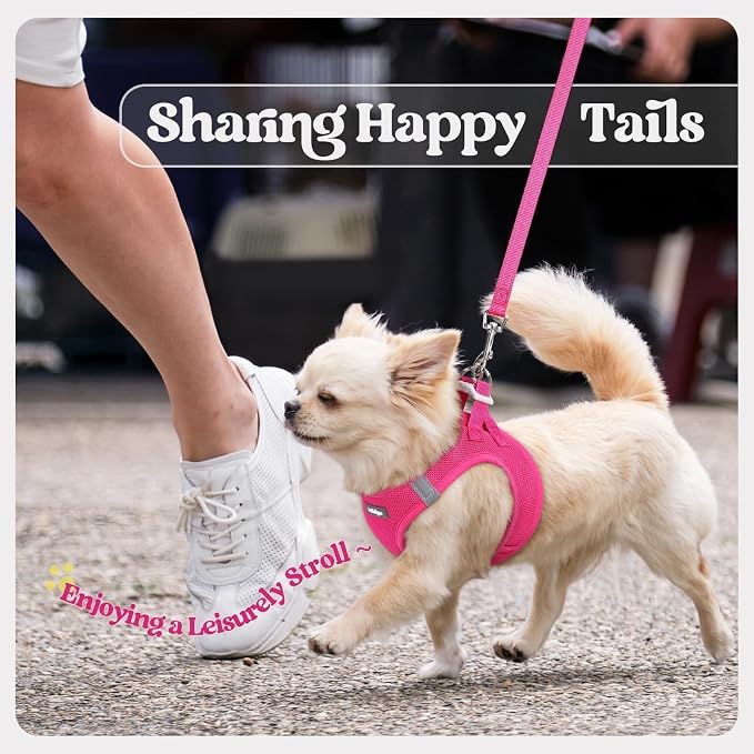 rabbitgoo Dog Harness Small Sized and Leash Set, Step-in Puppy Pet Vest | Light, Soft, Breathable Air Mesh, Easy on and Remove with Hook & Loop, Secure Reflective for Walking, Rose Red XXS