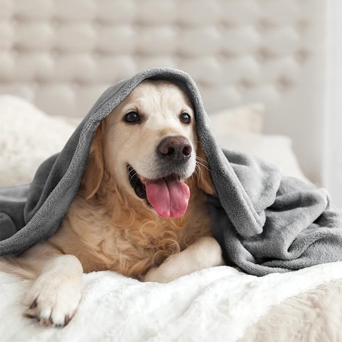 BEDELITE Fleece Blanket Soft Plush Throw for Couch Grey 50"x60" | Ultra Soft Fleece, Plush Microfiber, Lightweight Warmth, All Season Comfort, Fade Resistant, Machine Washable, Couch Sofa Bed