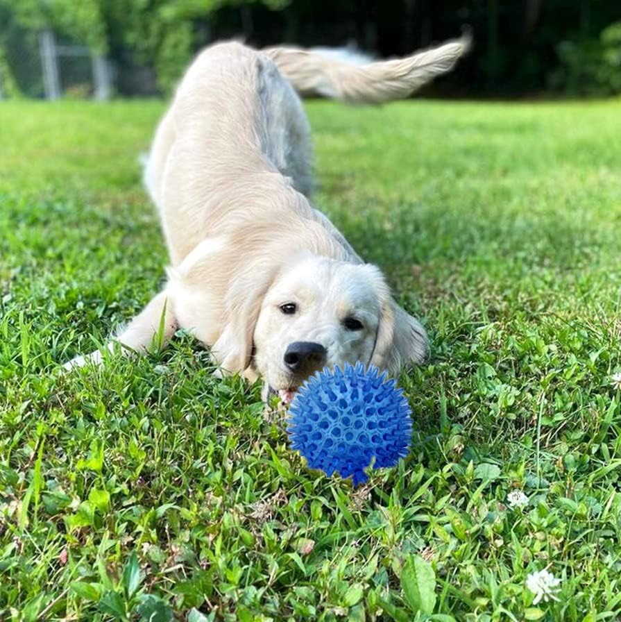 Cutie's PetBox Squeaky Rubber Spike Toy Ball for Medium, Large Dogs (3.5 Inch, Blue)