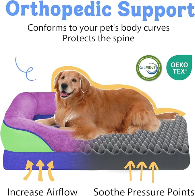 Waterproof Orthopedic XL Dog Bed for Large and Extra Large Dogs | Egg Crate Foam, 4-Sided Bolster Support, Waterproof Liner, Non-Slip Bottom, Machine Washable Cover, 42 x 30 Inch