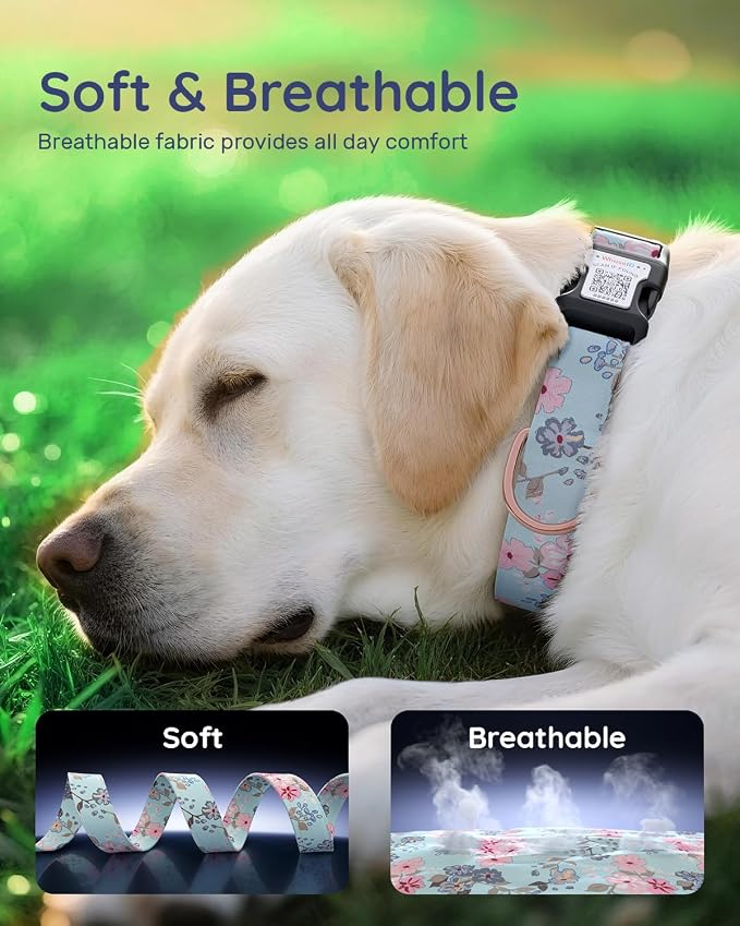 Dog Collar for Large Dogs with Smart QR Tags