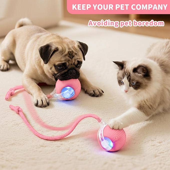 Cat Toys for Indoor Cats Smart Automatic Bal Moving Chase Dogs Toy, Pink | Ball Rolling for Bored Kitten Pet, Upgraded Speedy Moving Chase Dogs Toy