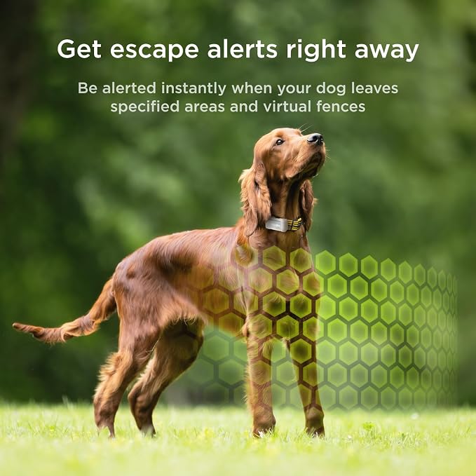 Petcube GPS Tracker for Dogs – Real-Time GPS Tracking | Escape alerts, virtual fences, activity & wellness monitoring, water & dust resistant