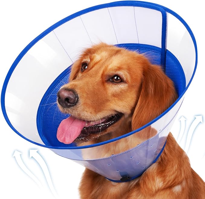 BARKLESS Transparent Dog Cone to Stop Licking Wounds, Soft E Collar, XL