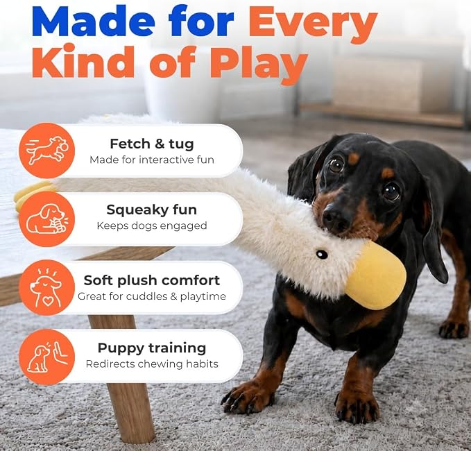 Best Pet Supplies Interactive Squeaky Dog Toy - Crinkle Duck, White | Stuffing Free Body, Soft, Squeaks & Crinkles, No Mess, Perfect for Moderate Chewers, Toss and Fetch Play