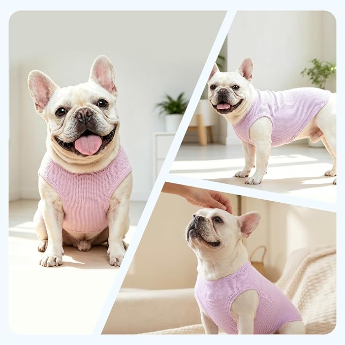 Dog Clothes for Small Dogs, Pet T-Shirt for Boys and Girls | Waffle Knit Dog Tank Top,Comfortable for Summer&Winter,Perfect for Dachshund(3PCS,Large)