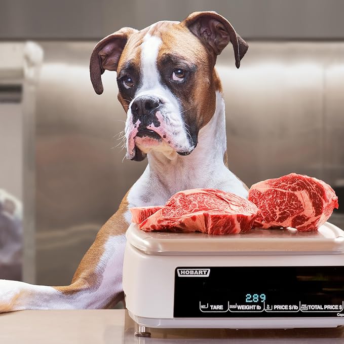 Fromm Heartland Gold Adult Premium Dry Dog Food - Beef Recipe - 12 lb