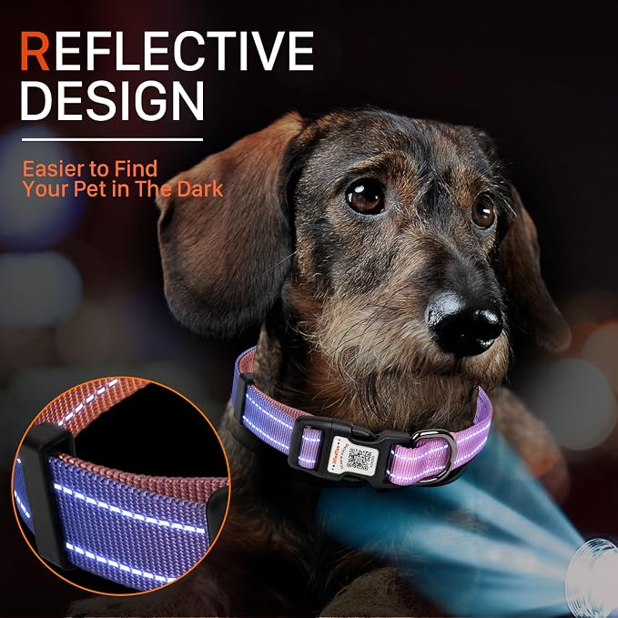 Personalized Dog Collar with QR Code Dog Tag, Pink&Orange S | Anti-lost, 1000D nylon, reflective, padded, XS-L(8"-24"), QR buckle shares lost pet profile, location alerts when scanned