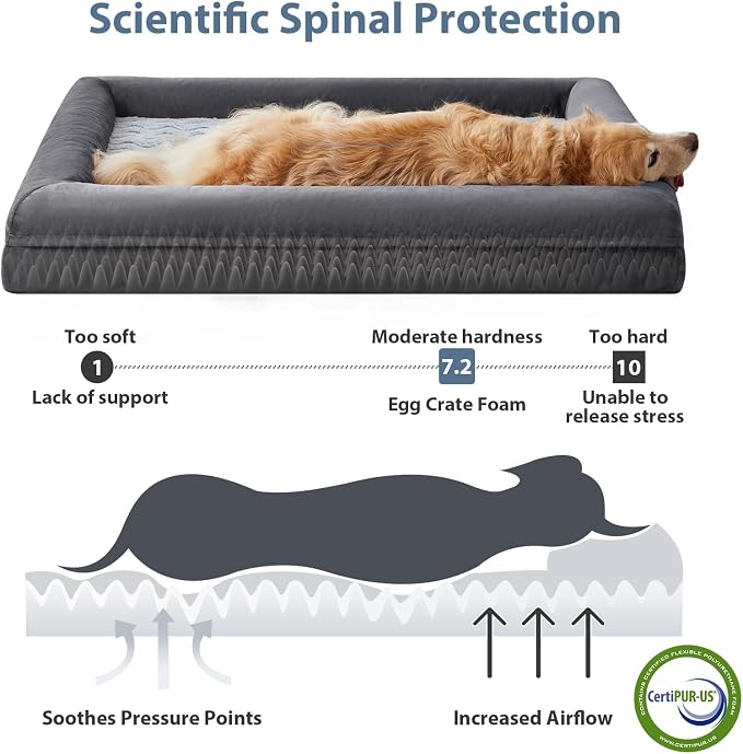 WNPETHOME XL Extra Large Orthopedic for Senior Dog Bed Comfy Sleeping | Washable Dog Couch with Removable Waterproof Cover, Large Pet Sofa Bed with Bolster Sides for Relaxing Dark Gery 41x28 Inch