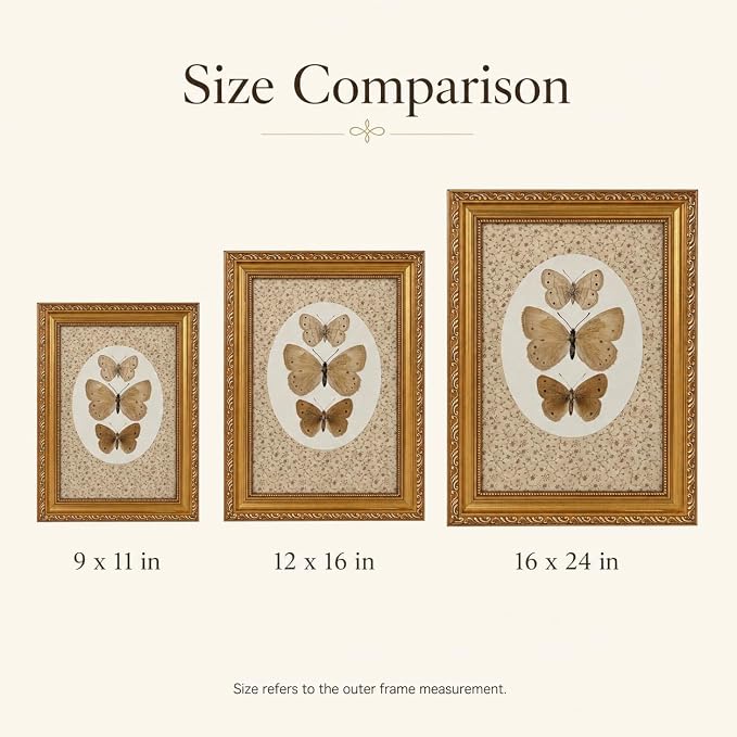 Vintage Butterfly Specimen Wall Art, Gold Framed Canvas Print | Vintage butterfly specimen wall art with gold frame, suitable for study room, office, and gallery wall decoration.