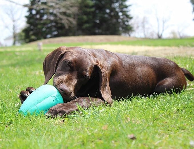 Chew King by Mammoth Premium Treat Dispensing Dog Toy, Durable Natural Rubber Chew Toy, Safety Air Vent, Interactive Enrichment Toy for Aggressive Chewers, XL - For Dogs 40-75lbs - Pack of 2 - Teal