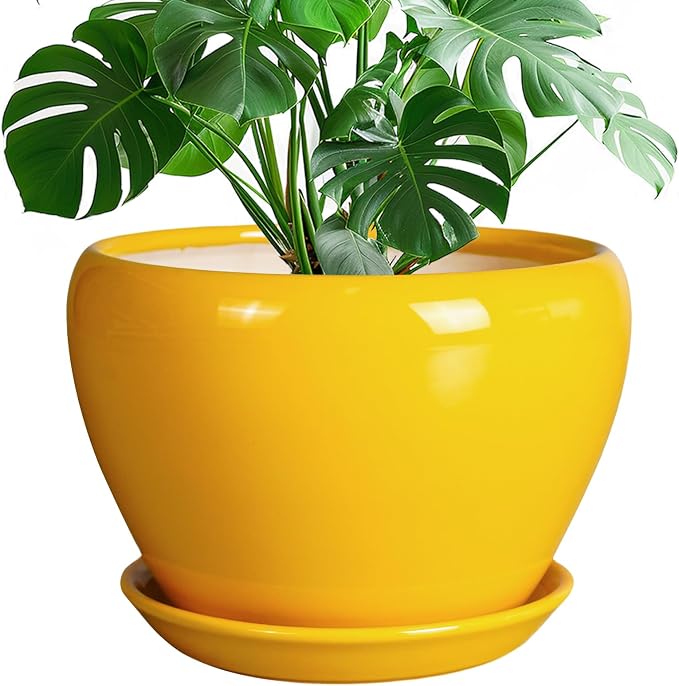 Ceramicfor Ceramic Planter - 10 Inch Plant Pot for Indoor Outdoor Plants Glaze Modern Round Planter with Drainage Hole and Saucer for Garden Office Home Room Patio Decor, Yellow