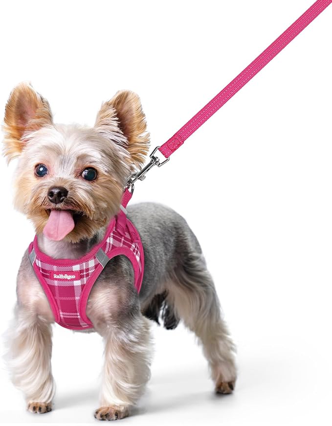 rabbitgoo Dog Harness Small Sized and Leash Set, Step-in Puppy Pet Vest | Light, Soft, Breathable Air Mesh, Easy on and Remove with Hook & Loop, Secure Reflective for Walking, Rose Red Plaid XS