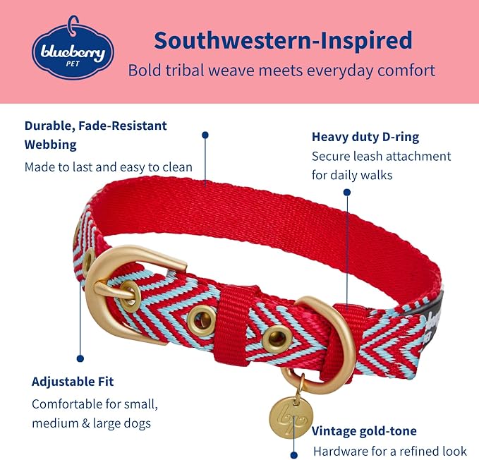 Blueberry Pet Southwestern Tribal Lozenges Stylish Red Adjustable Dog Collar with Metal Buckle, Neck 9-12.5", for Small Breed